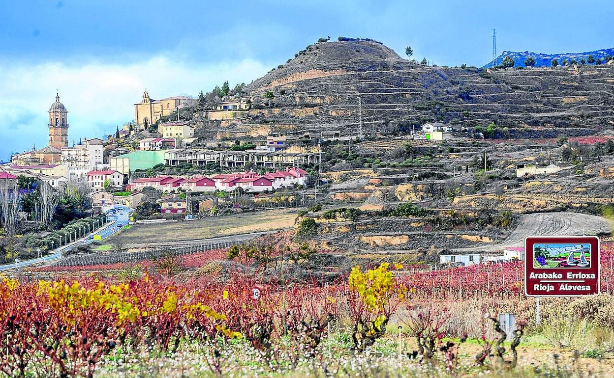 Vista de los viñedos de Rioja Alavesa.