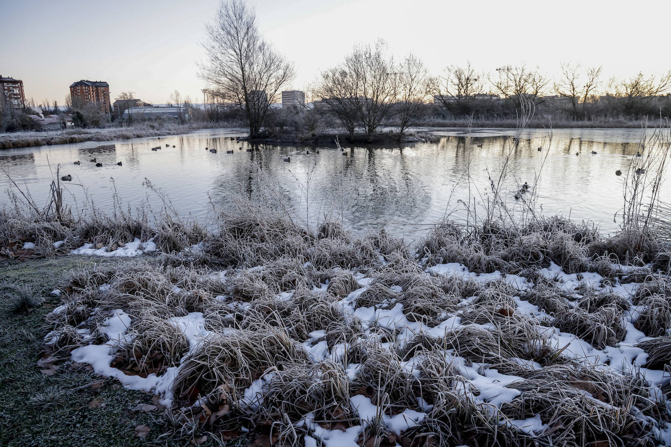 Fotos: Álava se congela con heladas y mínimas de hasta 8,6 grados bajo cero