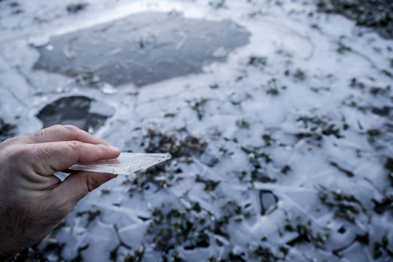 Fotos: Álava se congela con heladas y mínimas de hasta 8,6 grados bajo cero