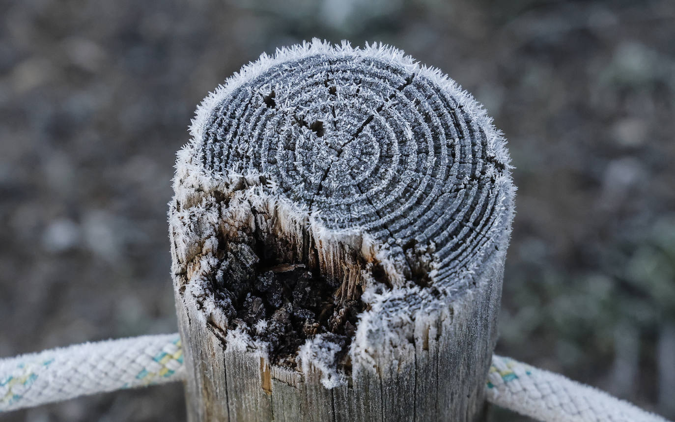 Fotos: Álava se congela con heladas y mínimas de hasta 8,6 grados bajo cero