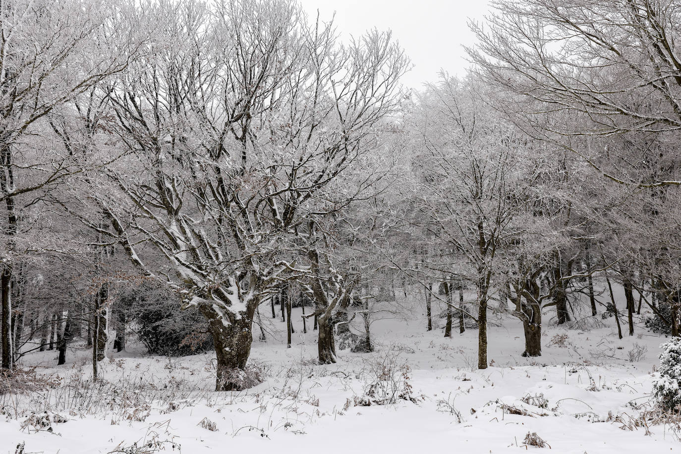 Nieve en el puerto de Herrera