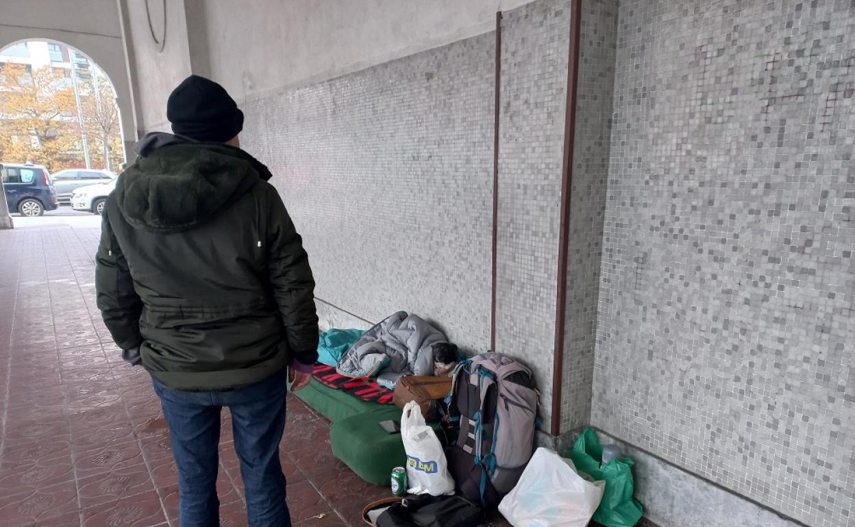 Pamela observa a su perro que duerme en un saco. 