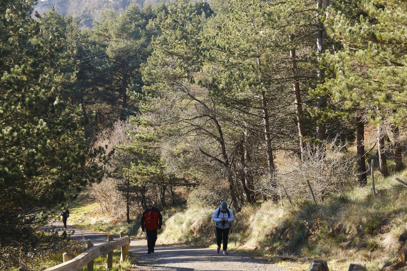 Álava da la bienvenida al Año Nuevo al sol en el Zaldiaran