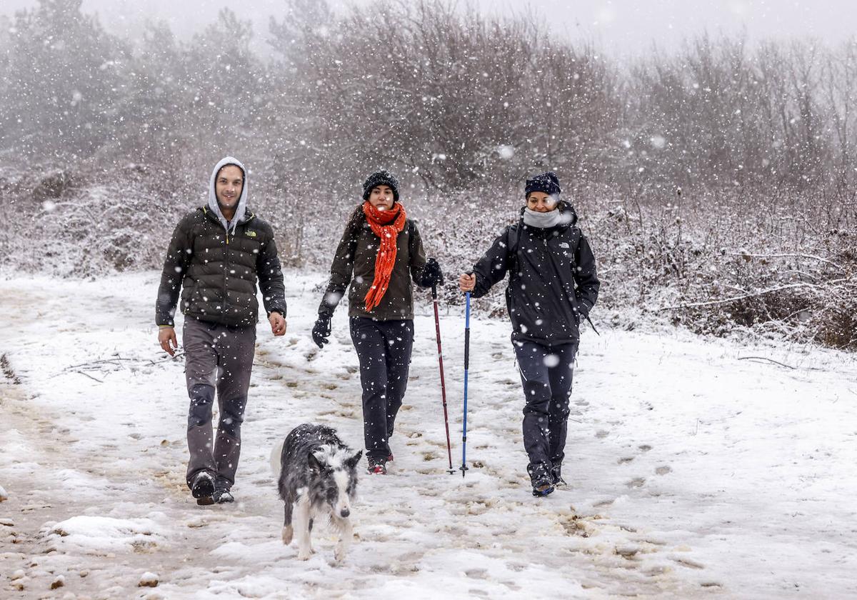 La nieve deja su tarjeta de visita en Álava