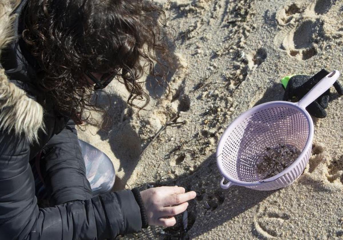 Imagen principal - Grupos de voluntarios acuden cada día a la costa a recoger los residuos como pueden.