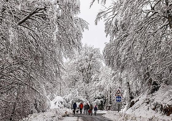 La jornada de este domingo continuará con chubascos, nieve y ambiente frío en toda Euskadi.