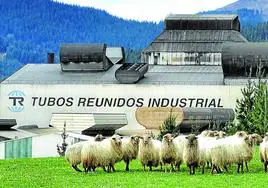 Tubos Reunidos fue la empresa que más se revalorizó en Bolsa en 2023.