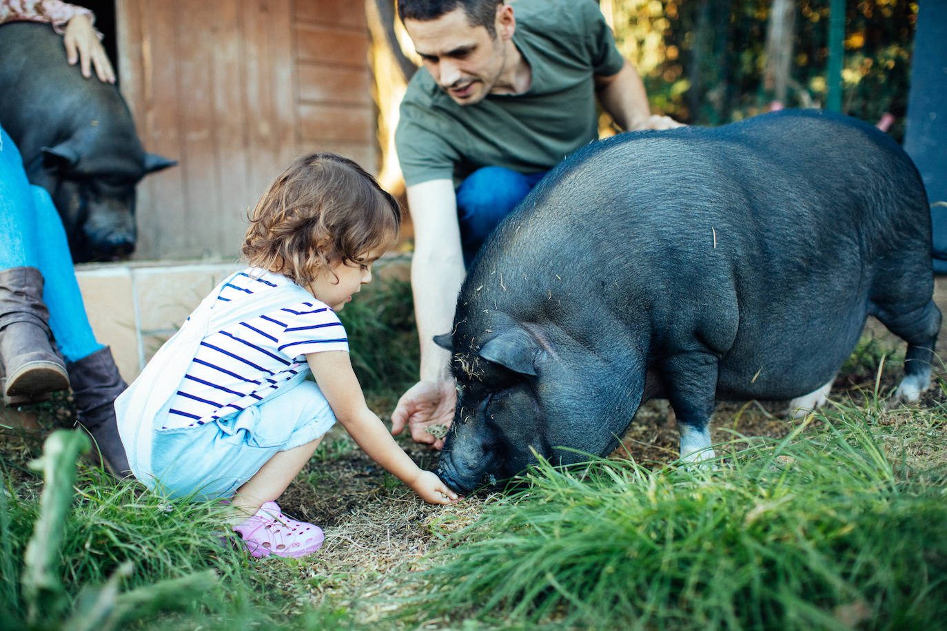 Izaskun, la exitosa &#039;influencer&#039; vegana que vive con su familia y una cerdita en un caserío de Urduliz