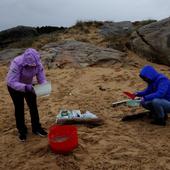 Marea de pellets de plástico en la costa: cronología de la crisis ambiental que afecta a Galicia y Asturias