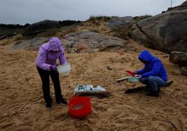 Voluntarios recogen pellets en las playas de Galicia.