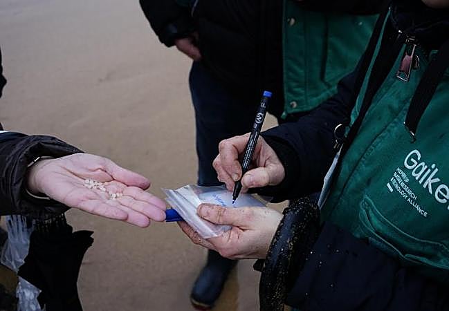 Clasificiación de las primeras unidades de péllets recogidas este miércoles en Bizkaia.