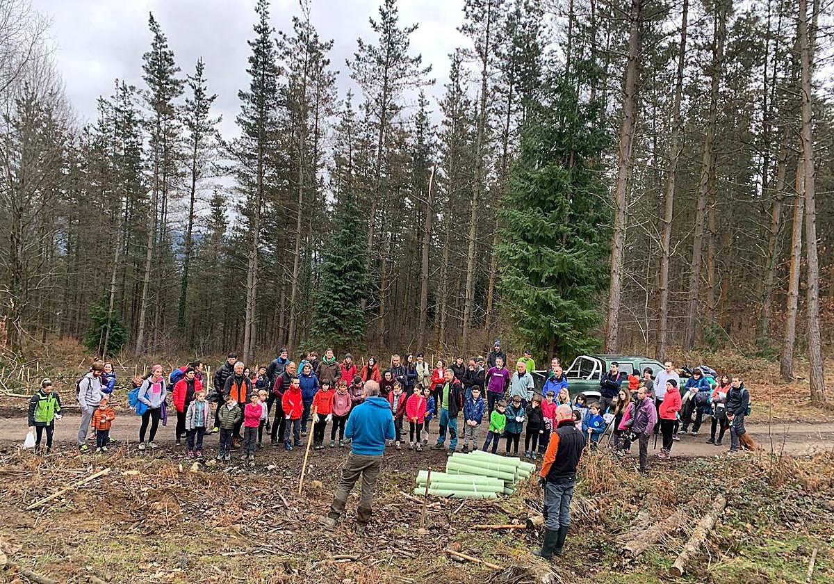 Los vecinos se reunirán durante dos sábados de este mes para plantar árboles en Elorrio.