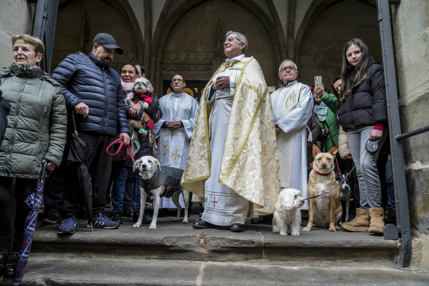 El día de San Antón en Vitoria