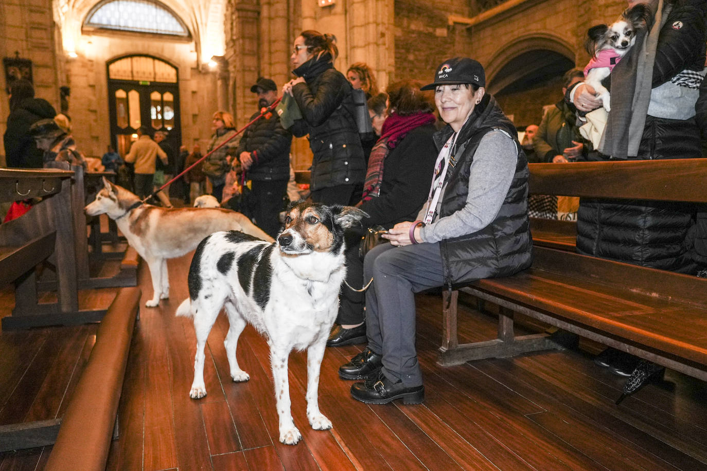 El día de San Antón en Vitoria