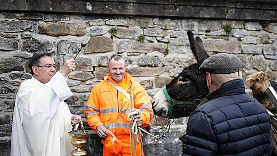 Urkiola recibe a perros, gatos, burros y cabras por San Antonio