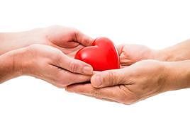 Liderazgo en solidaridad