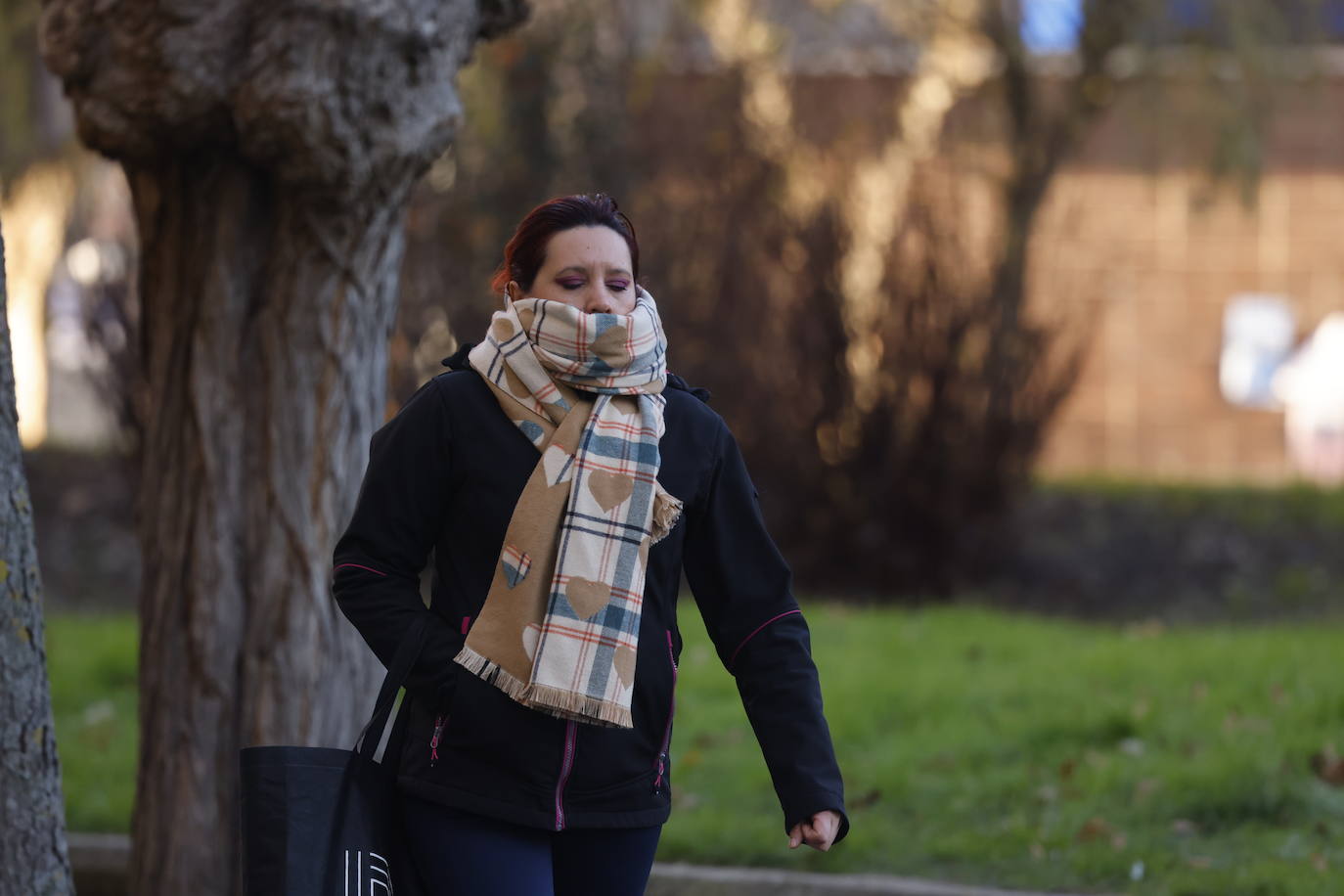 Álava tirita a 8 grados bajo cero