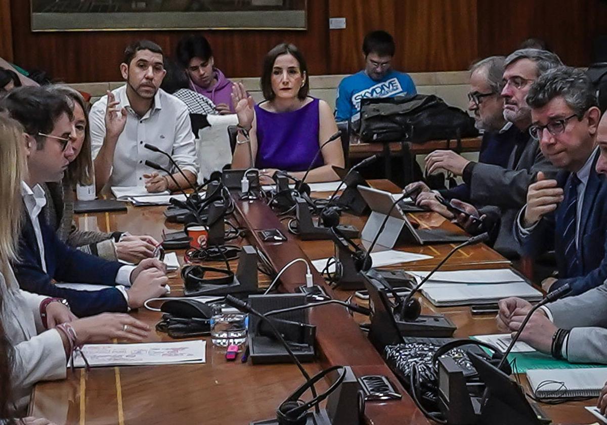 Los concejales de Elkarrekin Podemos votan durante el debate presupuestario de Vitoria.