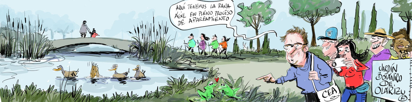 La viñeta de Cerrajería, la amenazada rana ágil y el jardín botánico de Vitoria