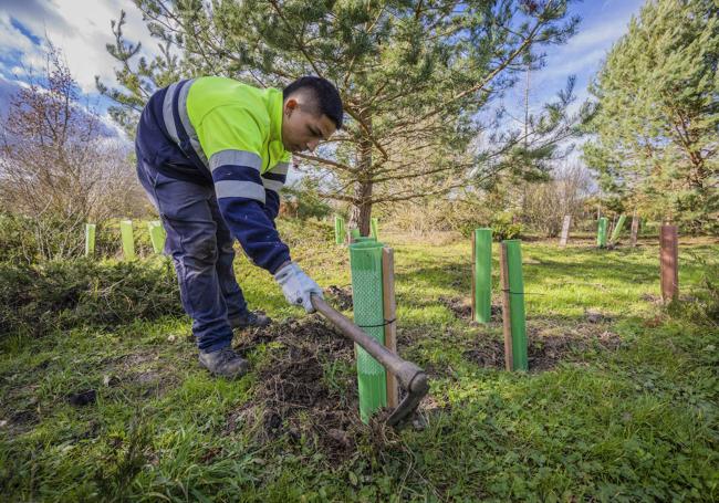 Un joven aprende jardinería en la zona.