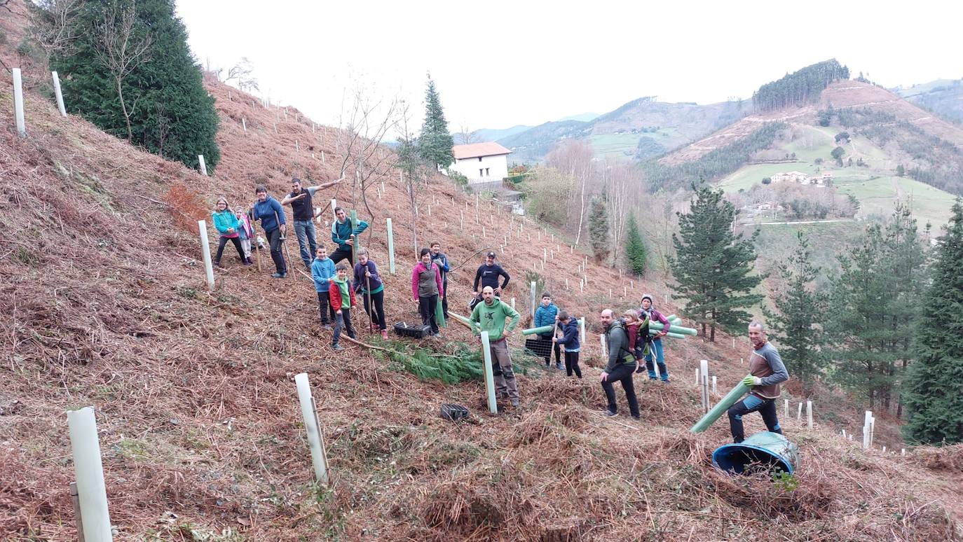 Vecinos de Berriatua en una plantación llevada a cabo en Legarmendi.