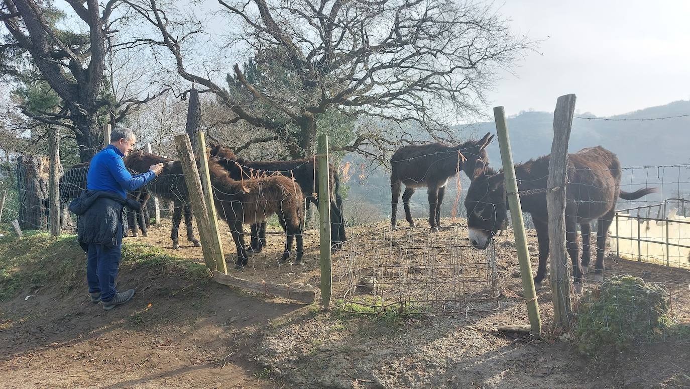 Las mejores fotos de la romería de Santa Águeda