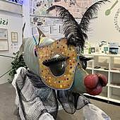 La Sardina de Carnaval se puede visitar en la Oficina de Turismo