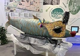 La Sardina de Carnaval, en la oficina de Turismo de Vitoria.