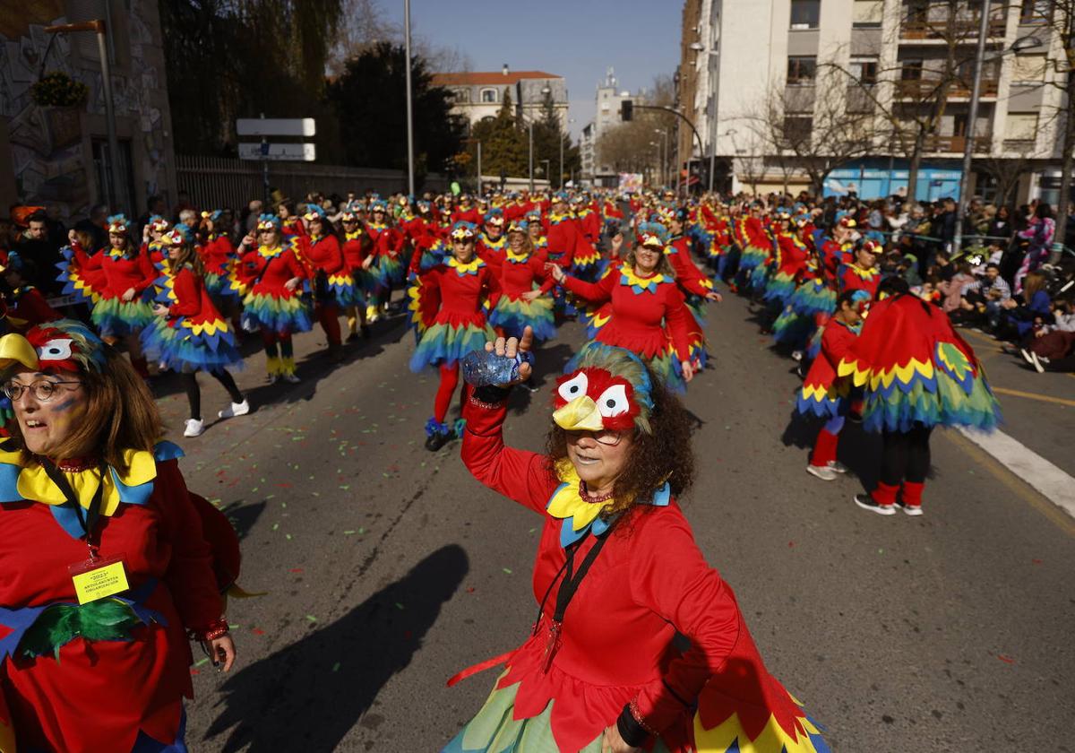 Carnaval de Vitoria 2024: cortes de tráfico y cambios en el transporte