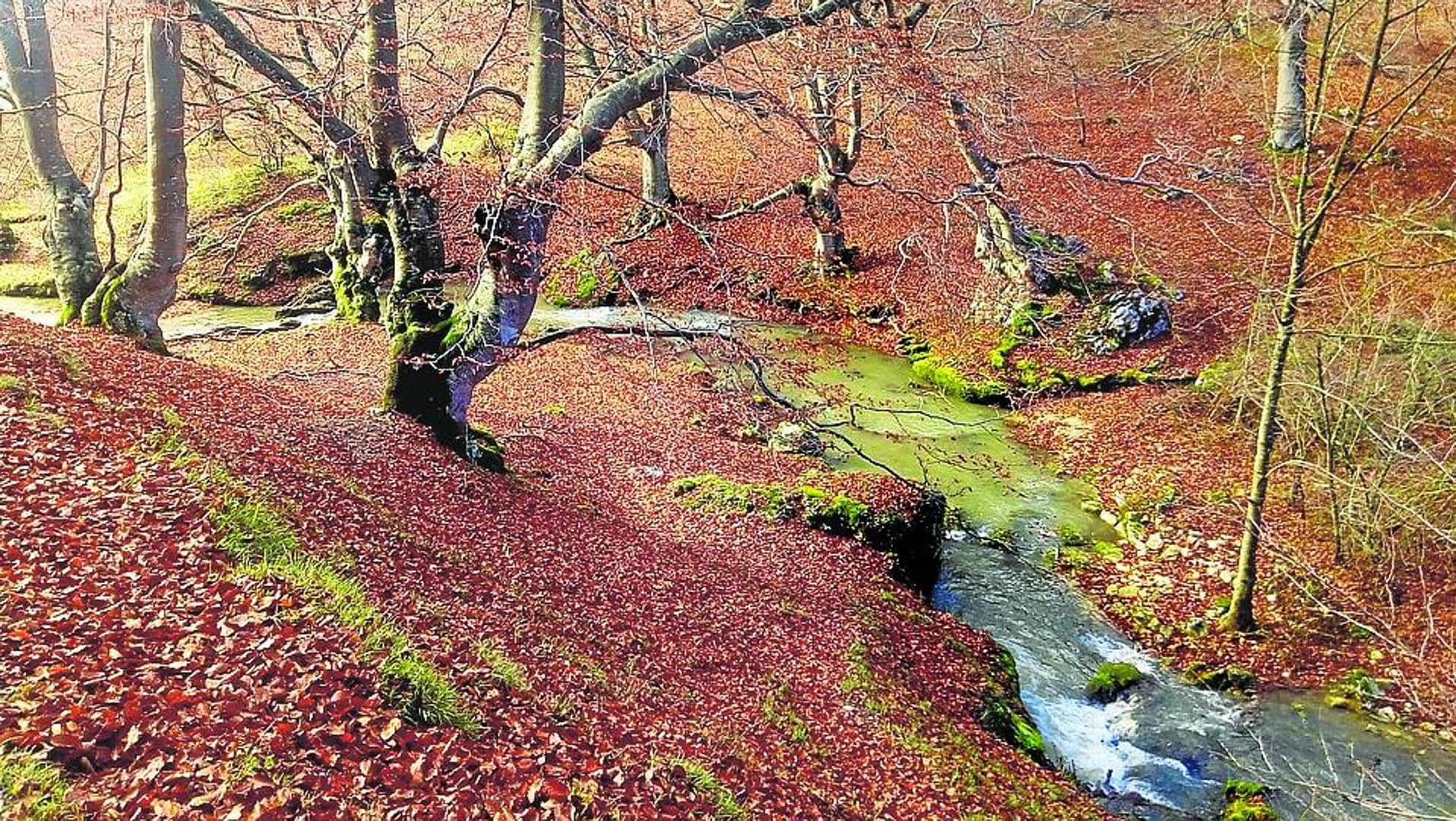 El desfiladero del río Ayuda desde las alturas | El Correo