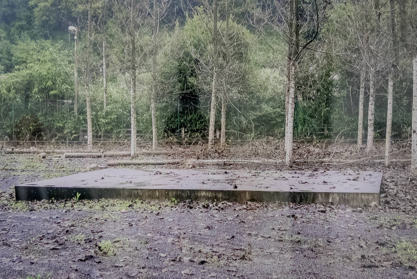 Las 27 nuevas obras de la &#039;Colección compartida&#039; de arte vasco