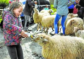 Una niña alimenta a uno de los ejemplares del caserío.