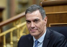 El presidente del Gobierno, Pedro Sánchez.