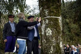 Igor Intxaurraga e Itxasne Atutxa comprueban que el árbol ha crecido un centímetro y su tronco mide 193 de circunferencia.