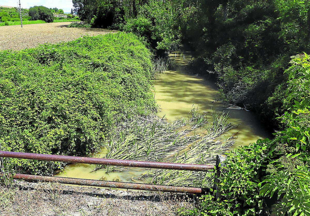 La CHE analizará en Miranda el agua del Oroncillo para saber porqué baja turbia y si se filtra al acuífero
