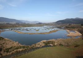 Vista general del río Oka en la Reserva de la Biosfera de Urdaibai.