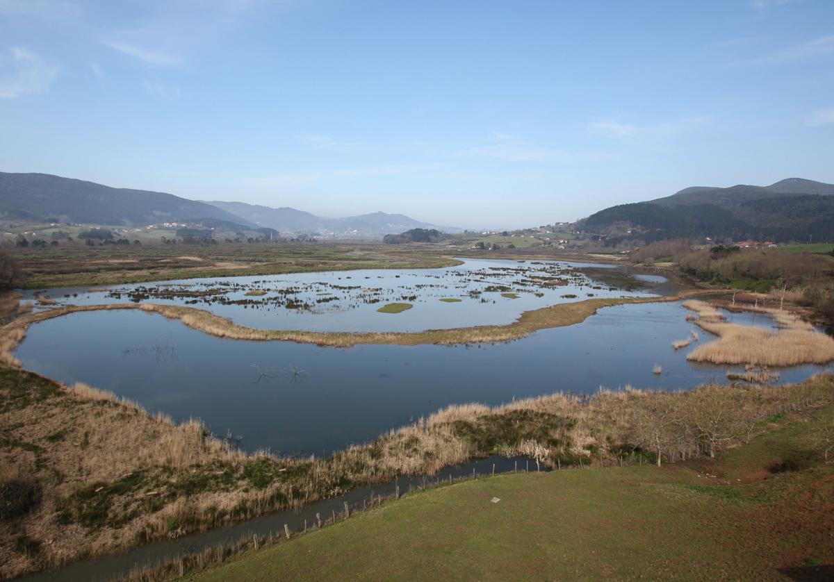 Vista general del río Oka en la Reserva de la Biosfera de Urdaibai.