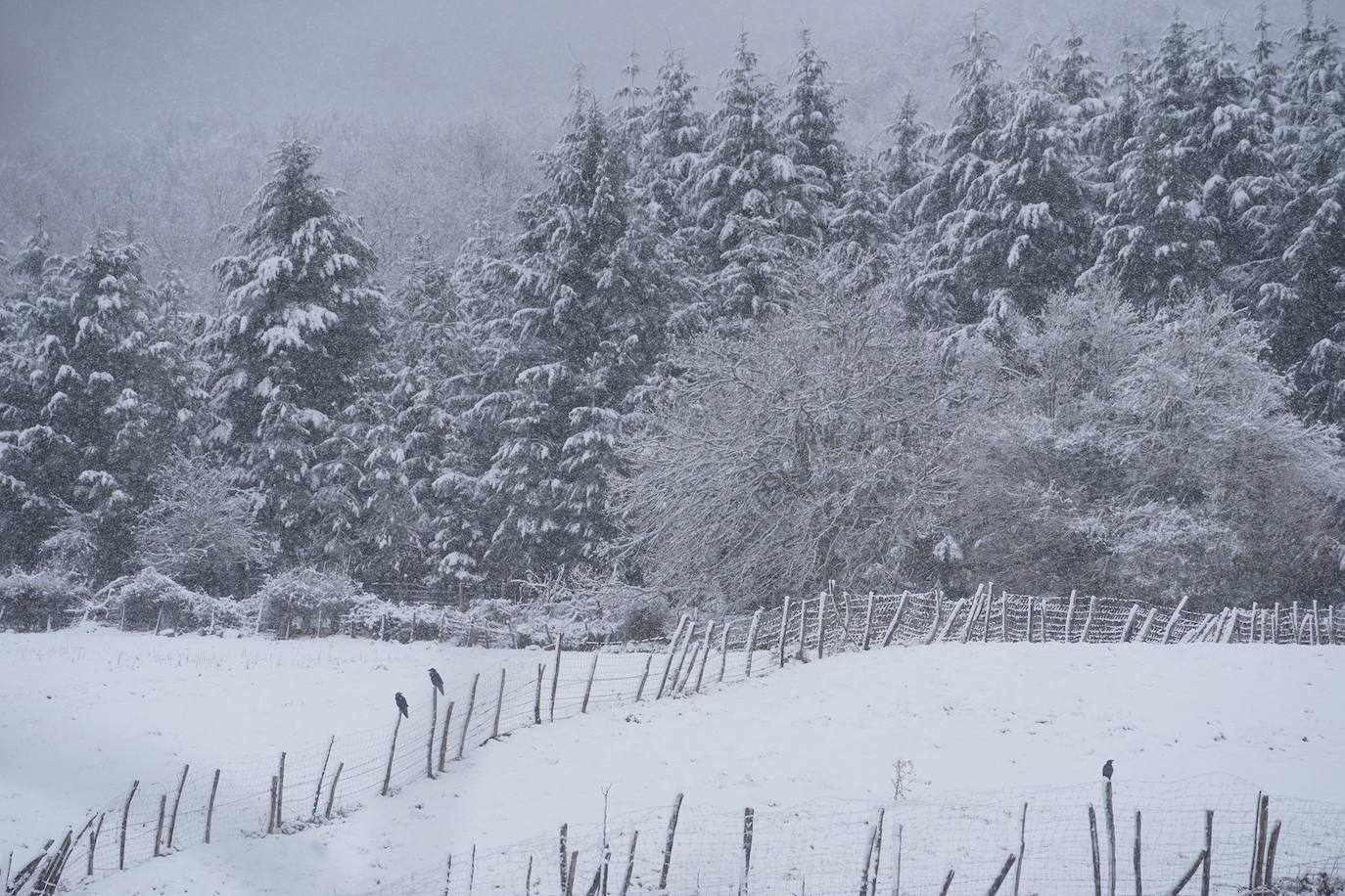 La nevada en Álava, en imágenes