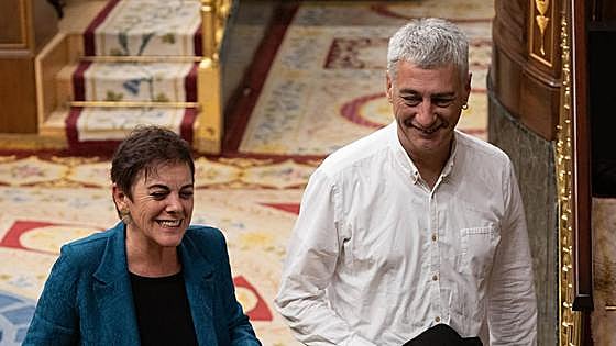 Bildu carga contra el PNV y le acusa de «tener un problema con las leyes progresistas de vivienda»