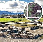 Álava denuncia «actividades clandestinas graves» en Veleia y pide reforzar la vigilancia