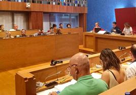 Imagen de un pleno del Ayuntamiento de Barakaldo, donde gobiernan en coalición PNV y PSE.