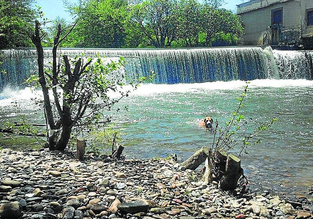 Escena bucólica del río Arratia.