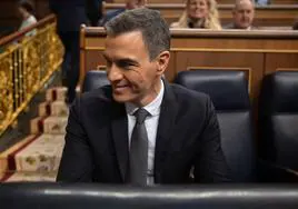 El presidente del Gobierno, Pedro Sánchez, durante una sesión de control al Gobierno.