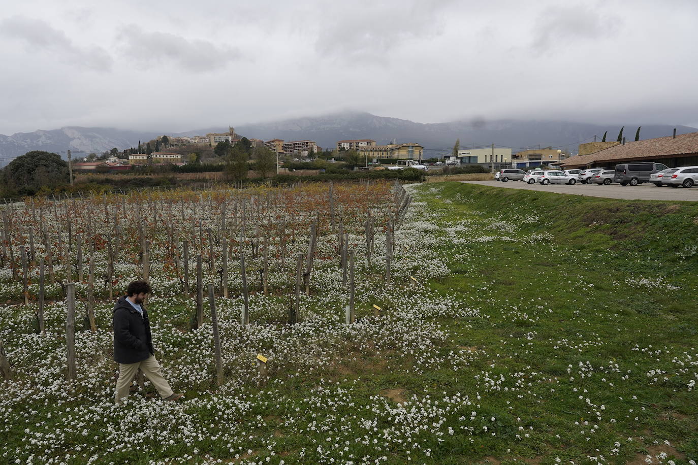 Laguardia contará con el segundo edificio del EDA.