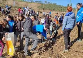 Los colegios se turnarán durante las próximas semanas para reforestar las zonas afectadas por las llamas en 2019.