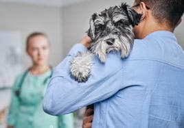 Un hombre lleva a su perro al veterinario.