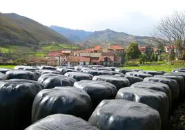 La gestión de los plásticos agrícolas preocupa en Ayala y Artziniega.