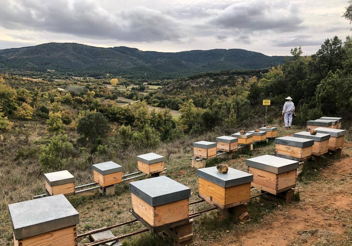 Una experiencia en plena naturaleza para disfrutar de Las Merindades esta Semana Santa