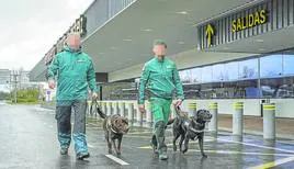 Tango y Budy, acompañados por sus guías, recorren el exterior de la terminal del aeropuerto de Vitoria.