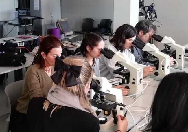 Varias personas observan en los microscopios las microalgas y los minúsculos animales que hay en la arena.